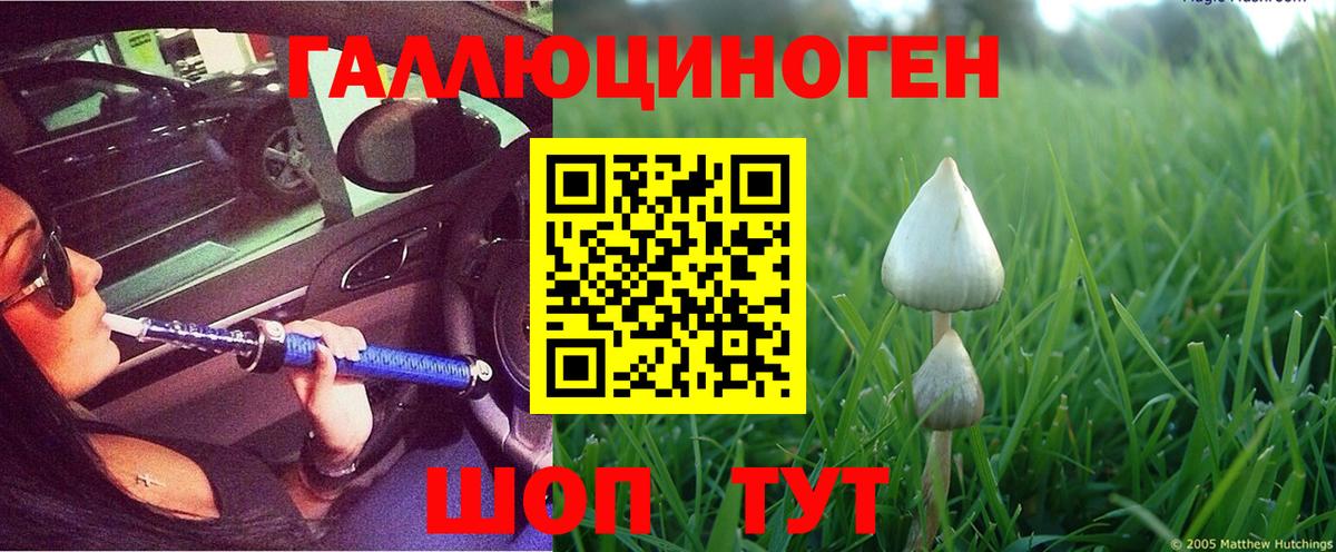 Краснодар  Галлюциногенные грибы GOLDEN TEACHER  Вход с VPN 