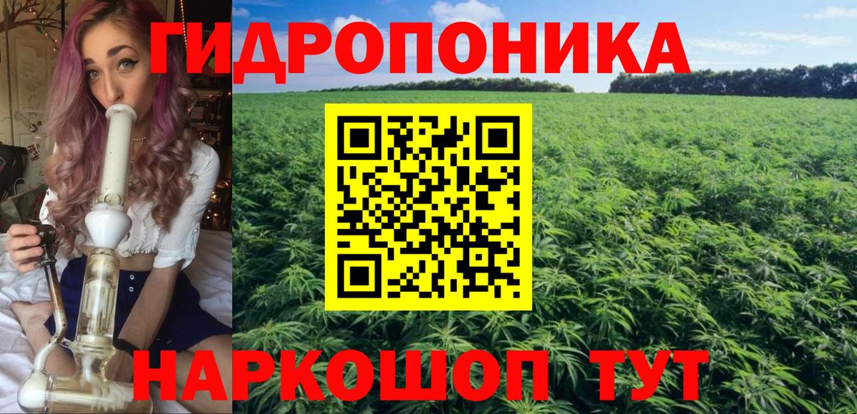 Шишки марихуана гибрид Краснодар